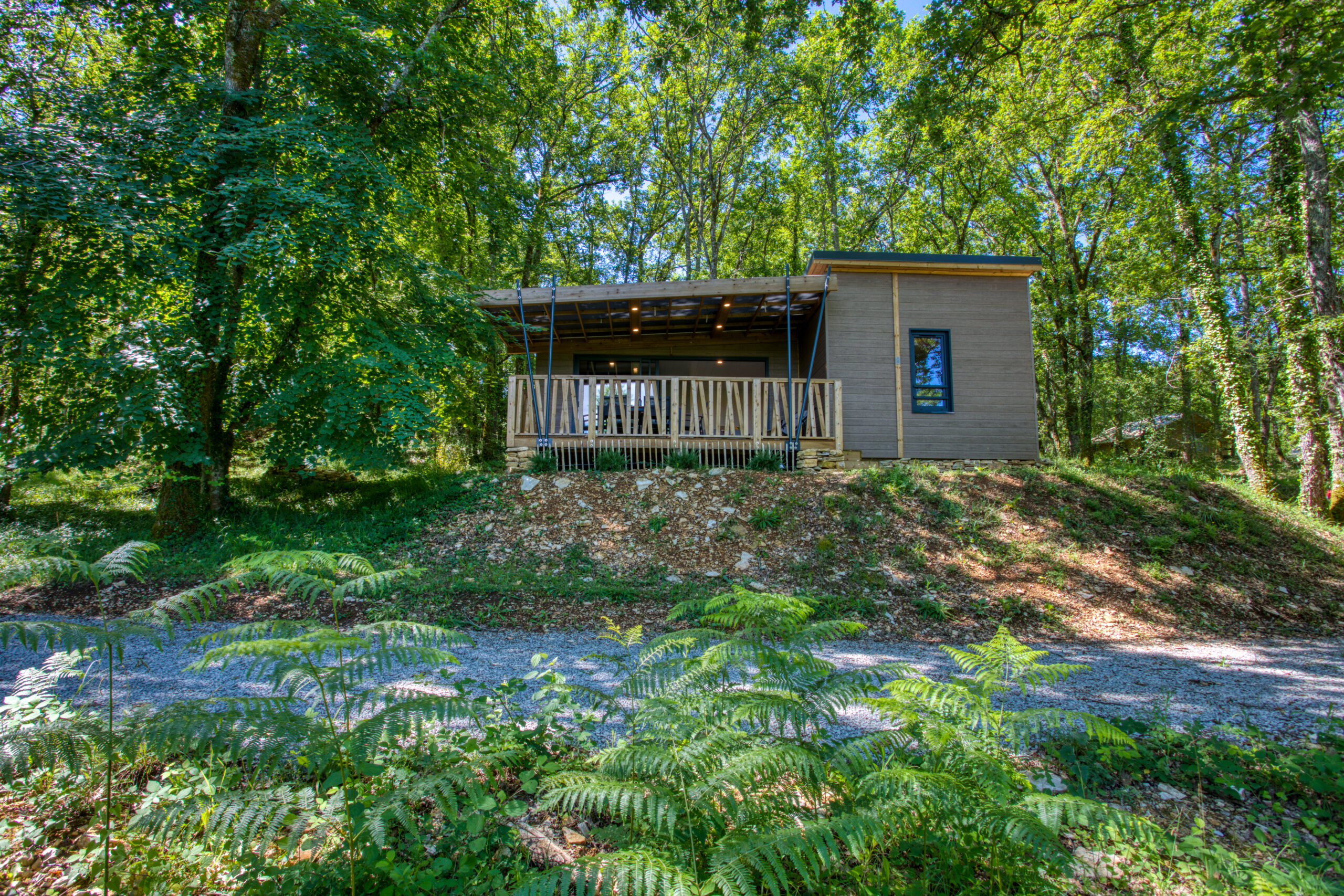 Gite au cœur de la forêt en Dordogne Montfort